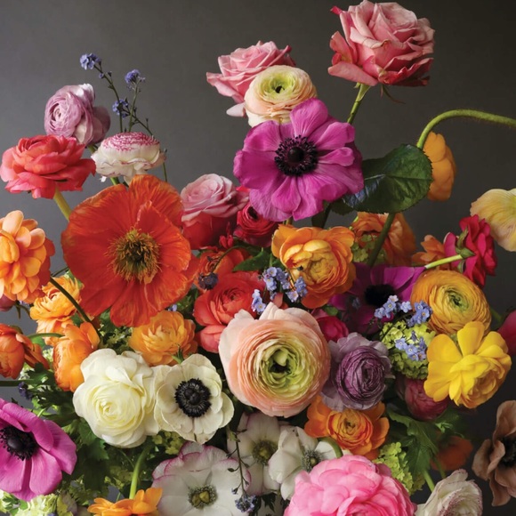 Meet your Posher, Renay - Picture 1 of 1